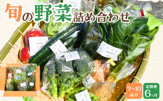 【6ヶ月定期便】新鮮野菜の産直 7～10品目 ＜楠こもれびの郷「楠四季菜市」＞