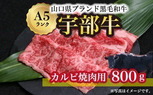 ★北海道・沖縄県・離島配送不可★【宇部牛】 カルビ焼肉用 800g