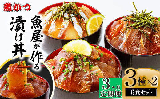 【3ヶ月 定期便】漬け丼 3種×2パック 計6食セット | 定期便 漬け丼 海鮮 惣菜 冷凍 真空パック 小分け 海鮮丼 海鮮セット 詰め合わせ 旬の鮮魚 ハマチ カンパチ カツオ 鯖 サバ ヒラマサ 平政 マグロ アジ ヒラメ 鯛 漬け づけ丼 お茶漬け ごはん 山口県 宇部市