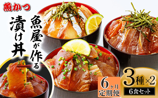 【6ヶ月 定期便】漬け丼 3種×2パック 計6食セット | 定期便 漬け丼 海鮮 惣菜 冷凍 真空パック 小分け 海鮮丼 海鮮セット 詰め合わせ 旬の鮮魚 ハマチ カンパチ カツオ 鯖 サバ ヒラマサ 平政 マグロ アジ ヒラメ 鯛 漬け づけ丼 お茶漬け ごはん 山口県 宇部市