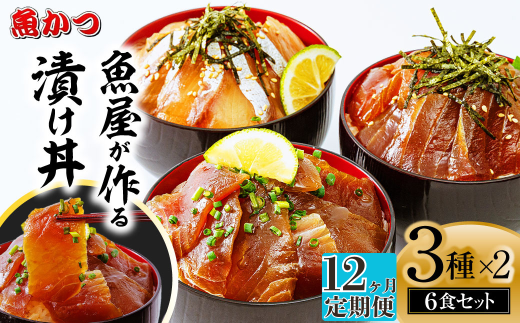【12ヶ月 定期便】漬け丼 3種×2パック 計6食セット | 定期便 漬け丼 海鮮 惣菜 冷凍 真空パック 小分け 海鮮丼 海鮮セット 詰め合わせ 旬の鮮魚 ハマチ カンパチ カツオ 鯖 サバ ヒラマサ 平政 マグロ アジ ヒラメ 鯛 漬け づけ丼 お茶漬け ごはん 山口県 宇部市