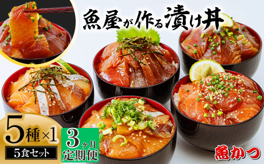 【3ヶ月 定期便】漬け丼 5種×1パック 計5食セット | 定期便 漬け丼 海鮮 惣菜 冷凍 真空パック 小分け 海鮮丼 海鮮セット 詰め合わせ 旬の鮮魚 ハマチ カンパチ カツオ 鯖 サバ ヒラマサ 平政 マグロ アジ ヒラメ 鯛 漬け づけ丼 お茶漬け ごはん 山口県 宇部市