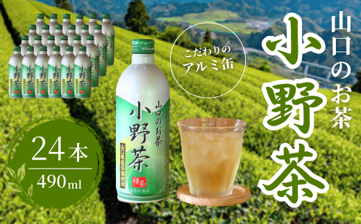 【山口のお茶】小野茶 大(490ml) 24本入り