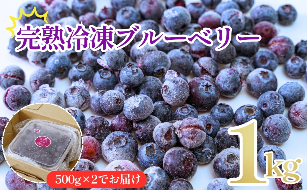 冷凍ブルーベリー１kg（500ｇ×2）