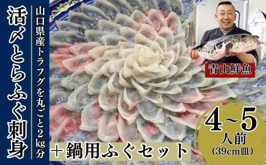 【北海道・東北・沖縄・離島配送不可／着日指定必須】2025年11月以降発送 活とらふぐ刺身 鍋用ふぐセット  4～5人前 ふぐ 刺身 ふぐ刺し フグ トラフグ