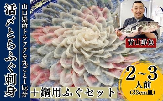 【北海道・東北・沖縄・離島配送不可／着日指定必須】2025年11月以降発送 活とらふぐ刺身 鍋用ふぐセット 2～3人前 ふぐ 刺身 ふぐ刺し フグ トラフグ