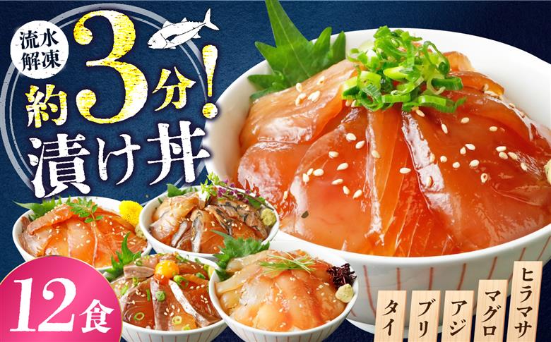 漬け丼 3種×4パック 計12食セット | 漬け丼 海鮮 惣菜 冷凍 真空パック 小分け 海鮮丼 海鮮セット 詰め合わせ 旬の鮮魚 ハマチ カンパチ カツオ 鯖 サバ ヒラマサ 平政 マグロ アジ ヒラメ 鯛 漬け づけ丼 お茶漬け ごはん 山口県 宇部市[BTAP005]