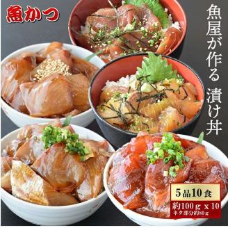 漬け丼 5種×2パック 計10食セット 冷凍 真空パック 小分け 海鮮丼 海鮮セット 詰め合わせ 旬の鮮魚