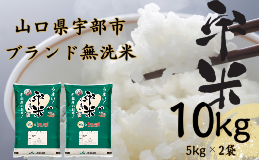 [先行予約][令和6年度新米]宇部市産 恋の予感 ブランド米 無洗米 宇米 10kg (5kg 2袋) 宇部市 米