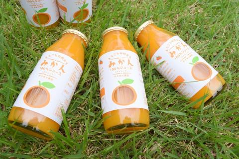 D064 まるごと秋穂育ち　みかんジュースセット（15本入り）
