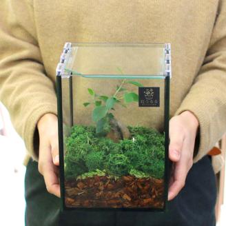 D041 モダンインテリアやギフトに「花うるるのテラリウムSサイズ」（ジオラマ人形おまけ付）