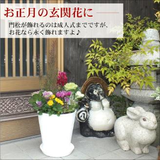 C012 季節の花の寄せ植え　１０号鉢　選べる鉢色　室内園芸装飾マイスター岡部太郎氏監修