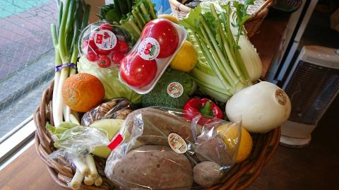 D196 ぶちうま！山口の新鮮お野菜BOX