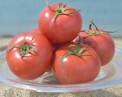 E067 蜂蜜屋さんの手作りハニージャム