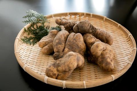 E060 徳地やまのいものすりおろしトロロ　100g×2個