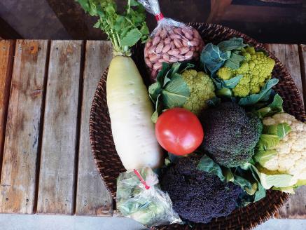 D116 　安心野菜ボックス