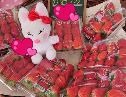 A027 ご褒美＊フルーツ定期便（12回）