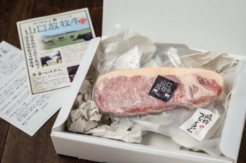 D008 山口放牧牛「サーロインステーキ」