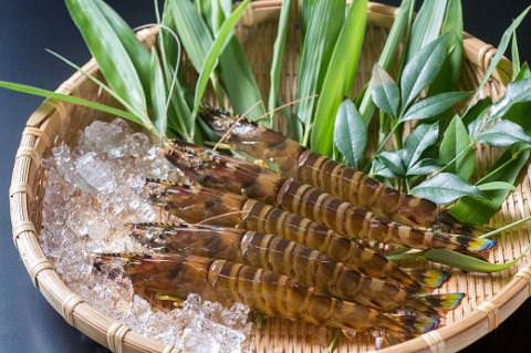 D090 活きあいおえび450g（10～18尾）