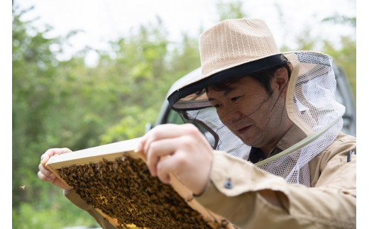 A071 郷のはちみつ定期お届け便 130gを3個ずつ年6回お届け