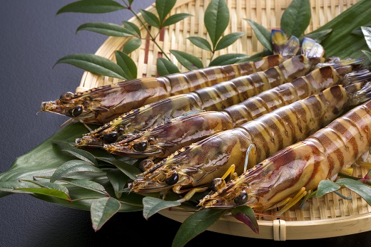 D247 旭水産活き車海老（あいおえび）350g（9～13尾）【養殖】