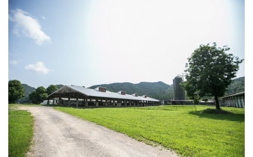 D363 船方農場のアイスクリームセット（10個入り）