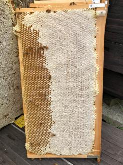 E030 純粋蜂蜜とんがり