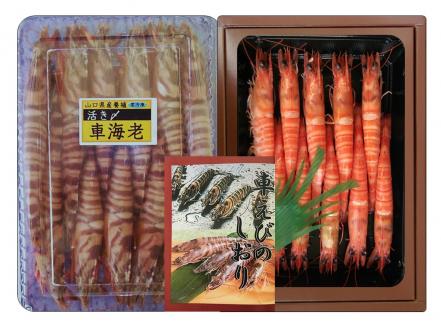 C036 特撰車えびセット