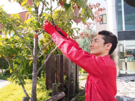 D061 空き家・草刈サービス