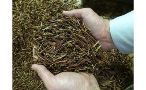 E008 カワラケツメイ茶とカワラケツメイ茶そばのセット