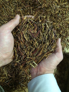 E028 カワラケツメイ茶飲み比べセット