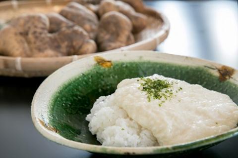 D213 徳地やまのいも1㎏袋(ご家庭用)×2袋