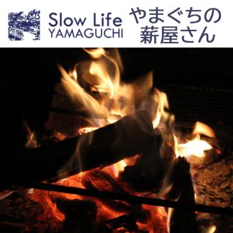 D209 薪ストーブ用・焚き火用の薪15㎏（広葉樹のミックス詰め合わせ）