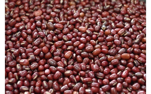 E079 楊貴妃の里（パイ饅頭）