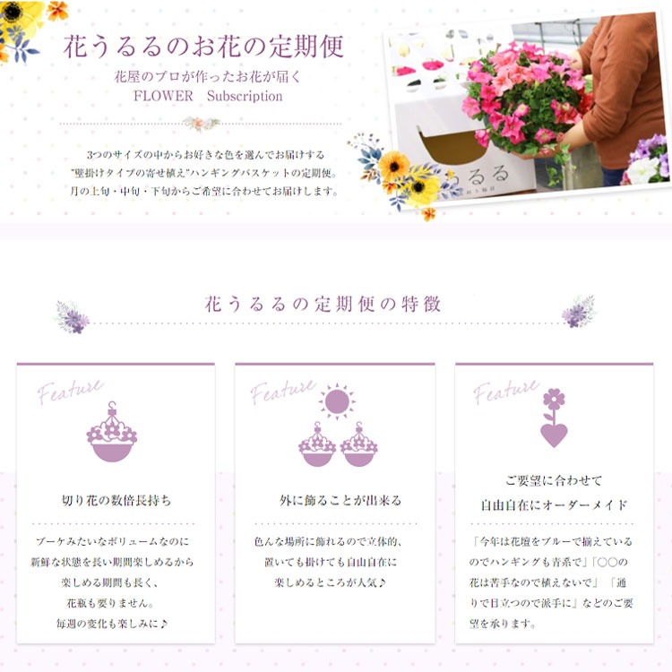 A031 花うるるのハンギング定期便～アレンジコース【全6回】（半年～1年間お届け）