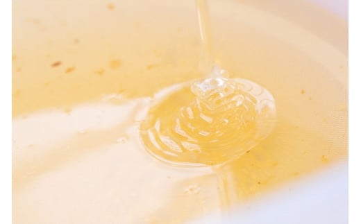 A073 郷のはちみつ定期お届け便 300gを2個ずつ年6回お届け