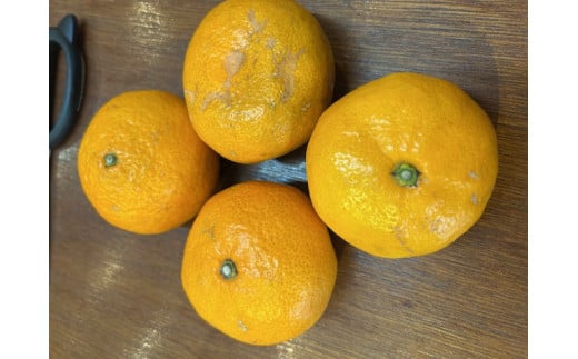 A086 規格外だけど美味しさ満点！エコ・フルーツアソートボックス定期便（12回）