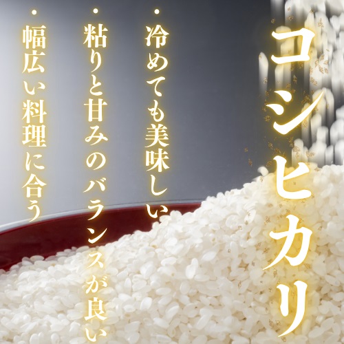 D404 農家直送！山口市産新米「コシヒカリ」精米10kg