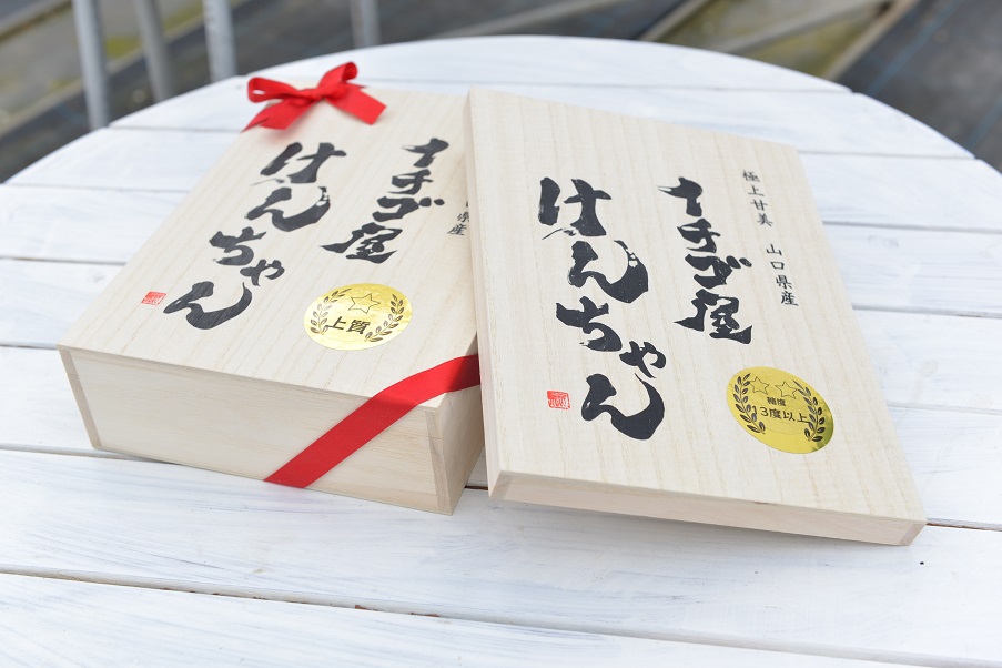 D326 イチゴ屋けんちゃん高糖度桐箱　いちご