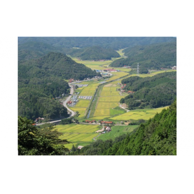 D548 阿武川源流米きぬむすめ白米5㎏