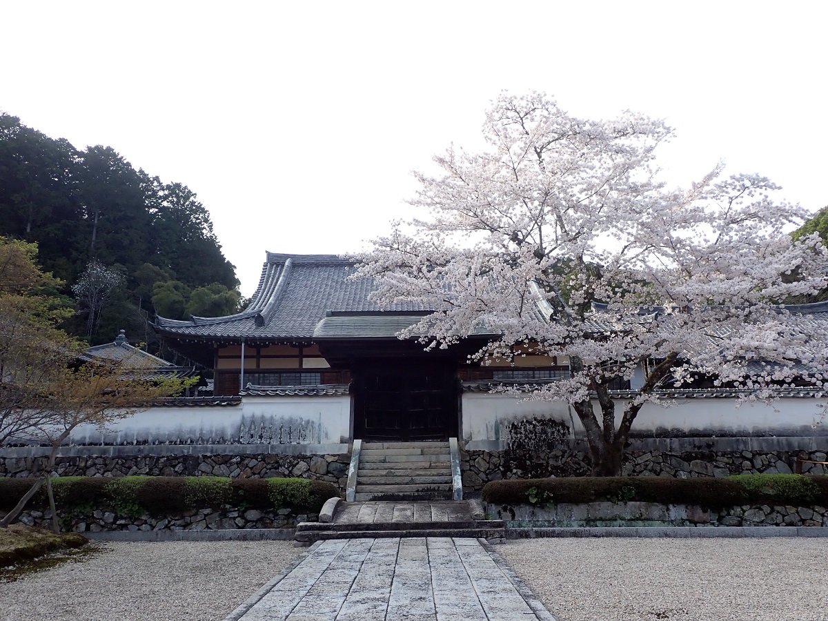 K007 常栄寺庭園保存整備事業