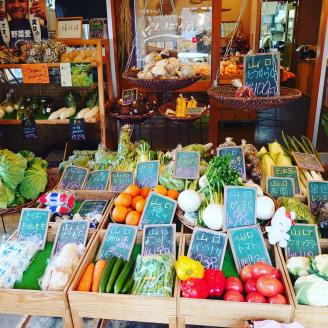 A035 朝採り野菜とフルーツの定期便（12回）