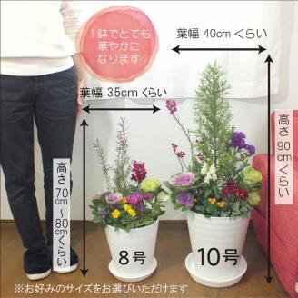 C012 季節の花の寄せ植え　１０号鉢　選べる鉢色　室内園芸装飾マイスター岡部太郎氏監修