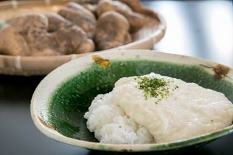 D020 徳地やまのいものすりおろしトロロ　100g×10個