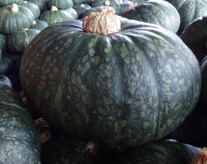 E067 蜂蜜屋さんの手作りハニージャム