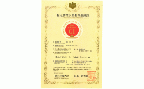 D120 徳地やまのいも箱入り2kg（優）