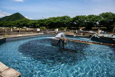 D065 子持鮎甘露煮詰合せ