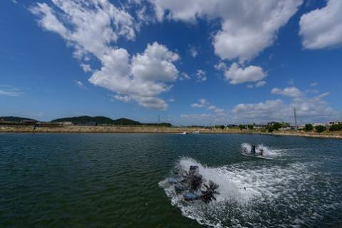 B056 旭水産活き車海老（あいおえび）1700g（850g（18～25尾）×2）【養殖】