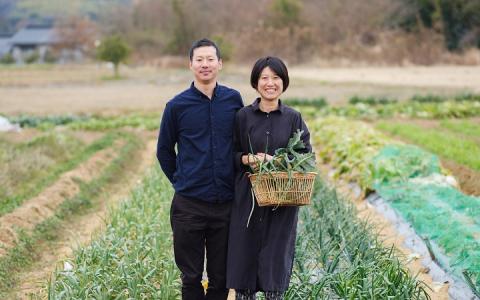 D038 レストランカレー（4個入り）