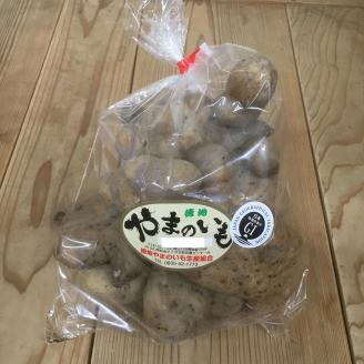 E059 徳地やまのいも1㎏袋（ご家庭用）×1袋